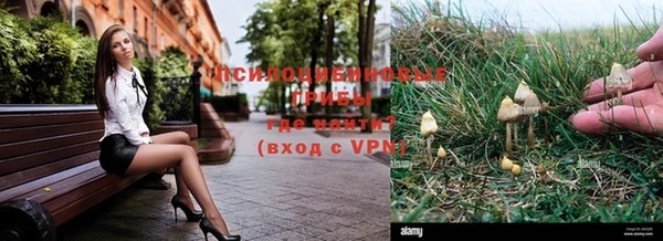 a pvp Волосово