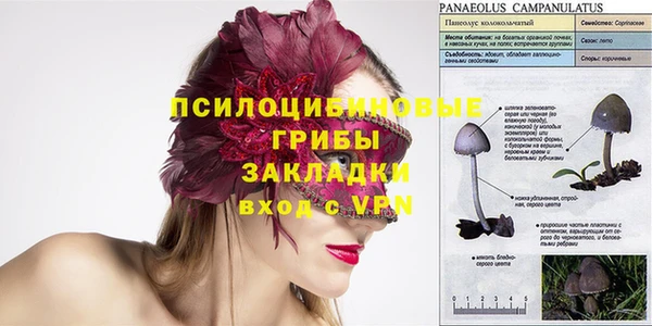 не бодяженный Волоколамск