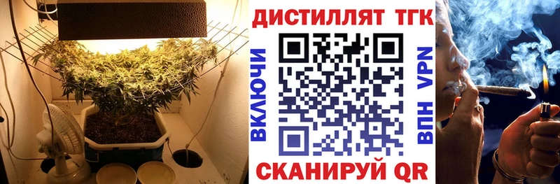 ТГК концентрат  Курск 