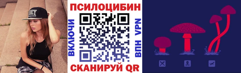Псилоцибиновые грибы Psilocybe  мориарти наркотические препараты  Курск  купить наркотик 